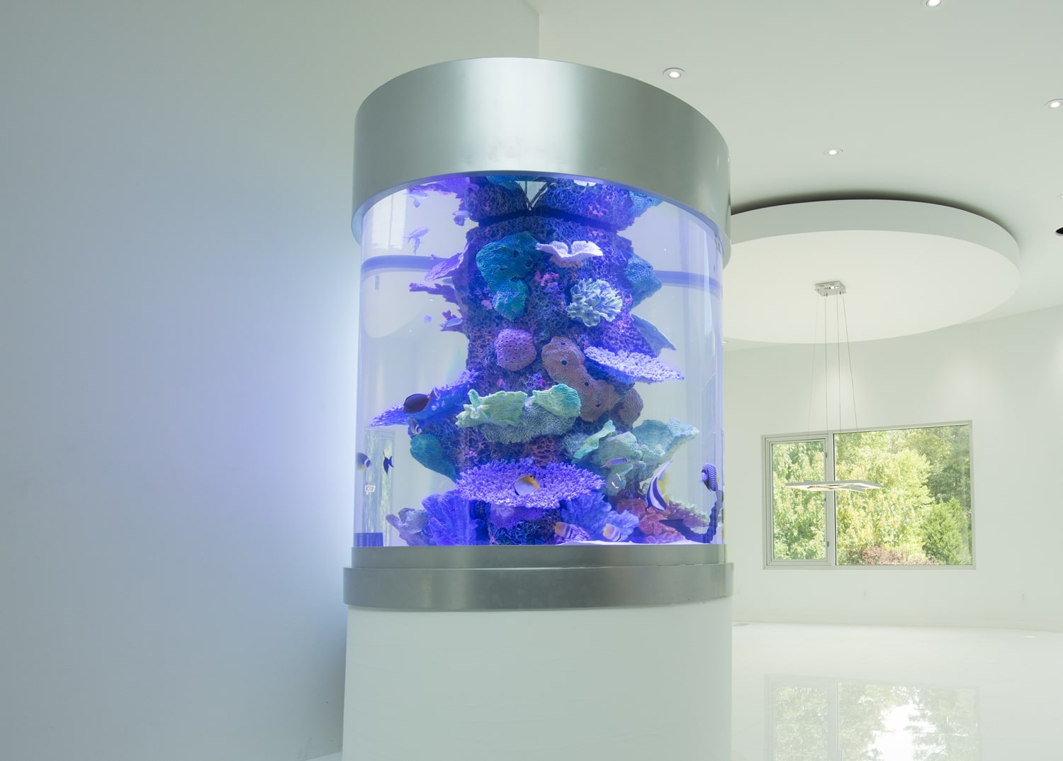 Custom aquarium in the home of Akon
