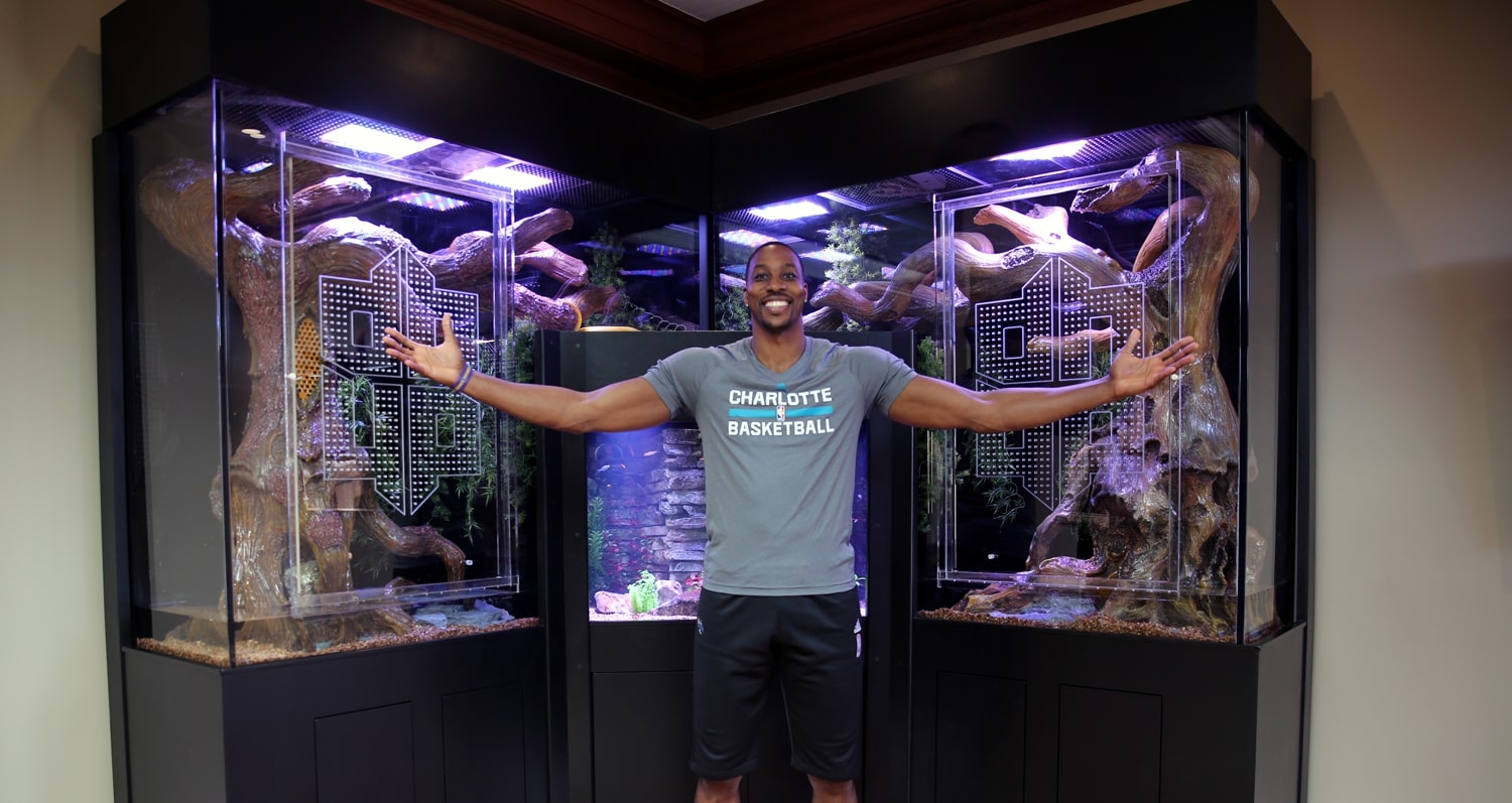 Custom reptile tanks in the home of Dwight Howard