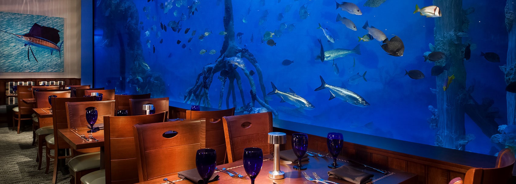 Restaurant aquarium installation